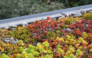 the cost of Malin Bridge green roof installation