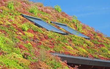Malin Bridge living roof systems